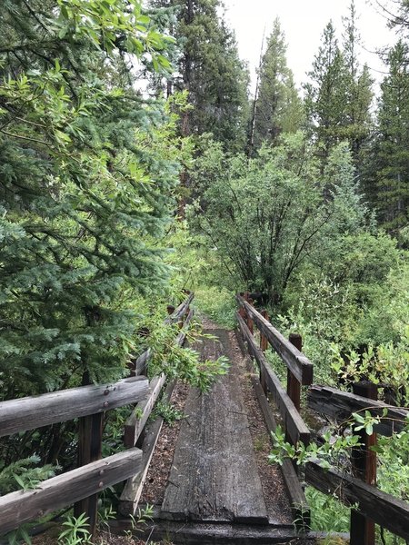 Bridge over Rock Creek along Colorado Trail