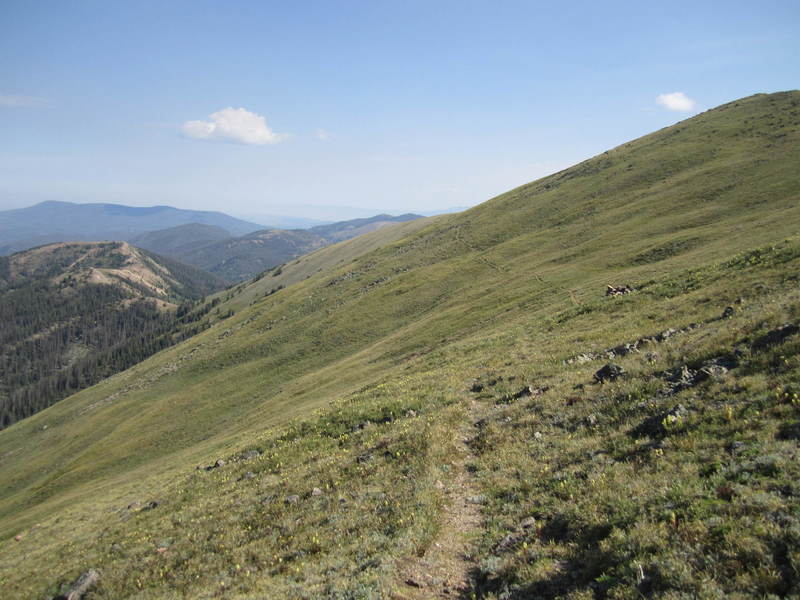 The faint Blue Ridge Trail.