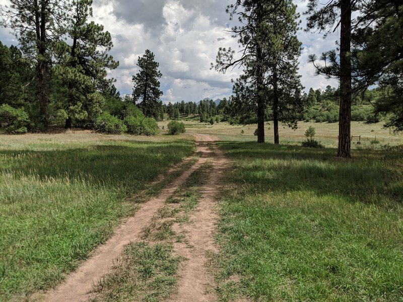 Coyote Hill Loop Trail - going counter-clockwise