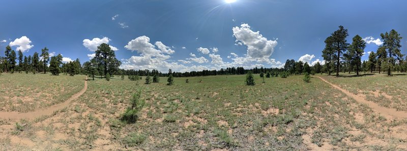 A meadow along the way