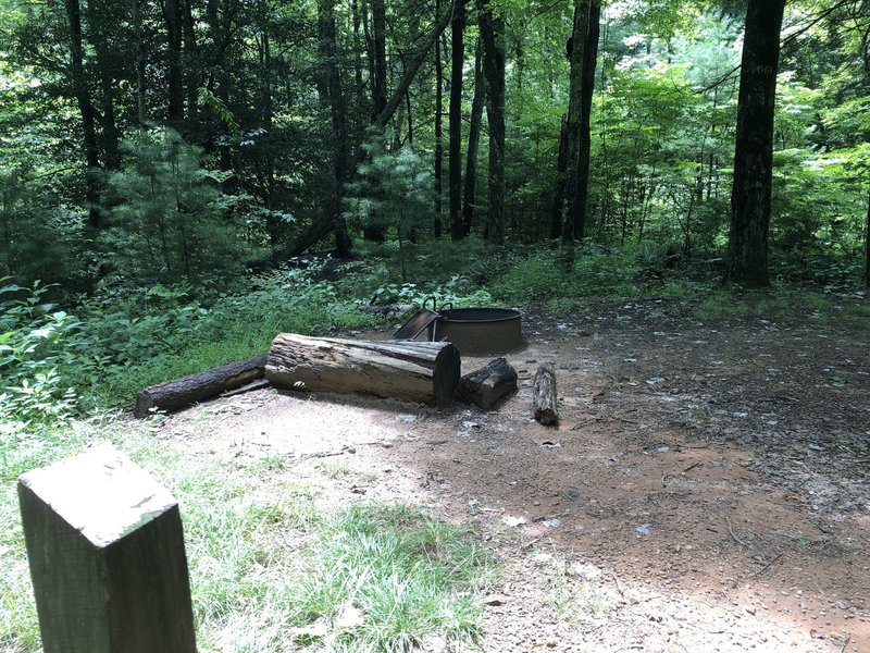 Campsite #1 at Murray Branch Campsites