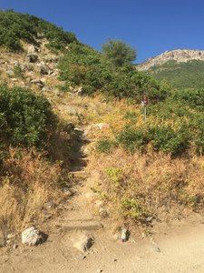 The entrance to Steed & Hornet Canyons with the cliffs looming in the distance.