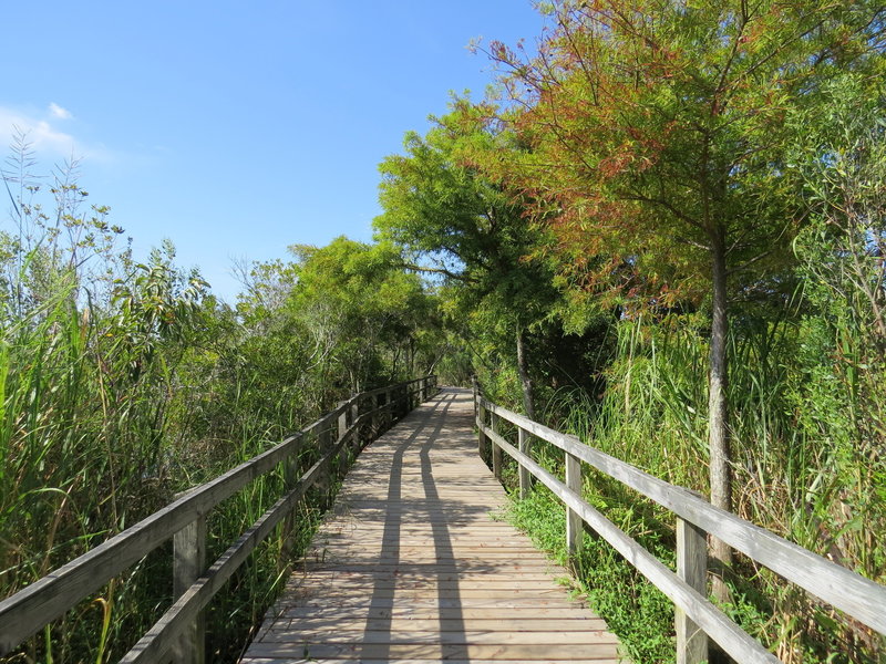 Second boardwalk