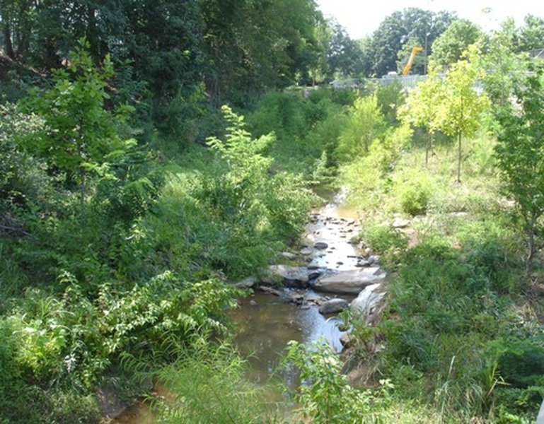 View of a creek