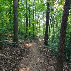 Meandering singletrack on the 100 loop
