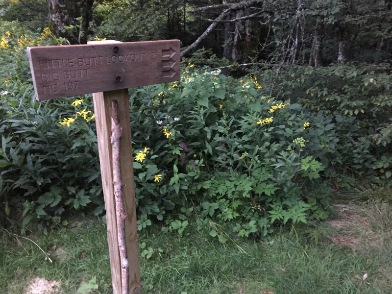 Trailhead Sign