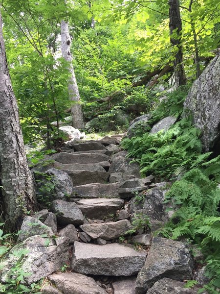 West side of Old Rag