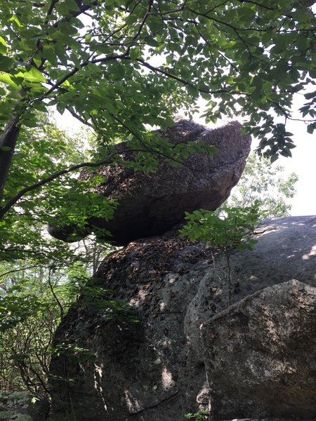 West side of Old Rag off trail exploring.