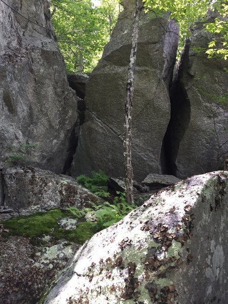 West side of Old Rag off trail exploring.