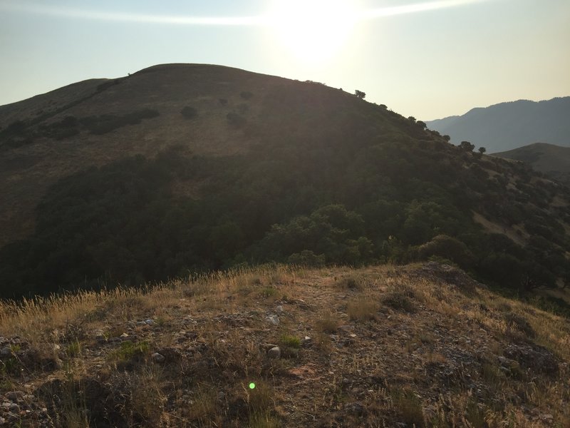 A view of the 4th crux. There is a trail that emerges from the forested section, then climbs straight up the hill.