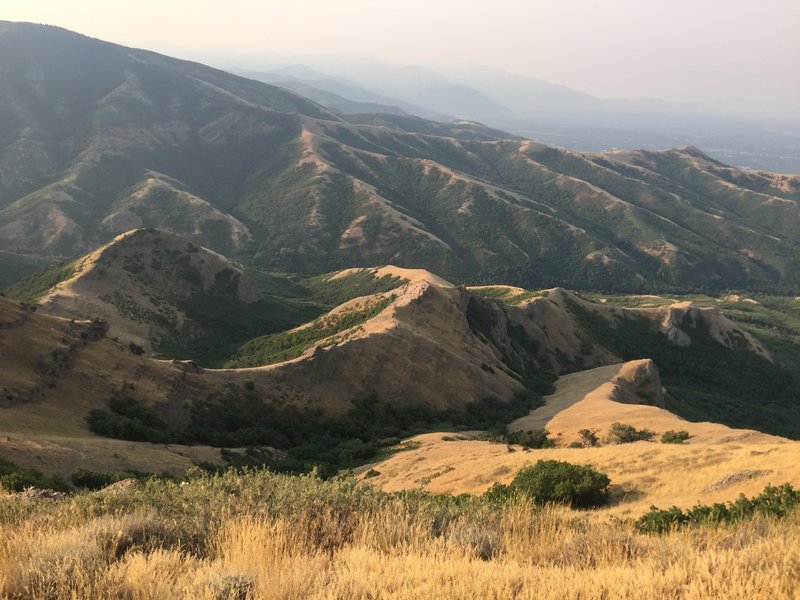 A view down into City Creek Canyon from the ridge.