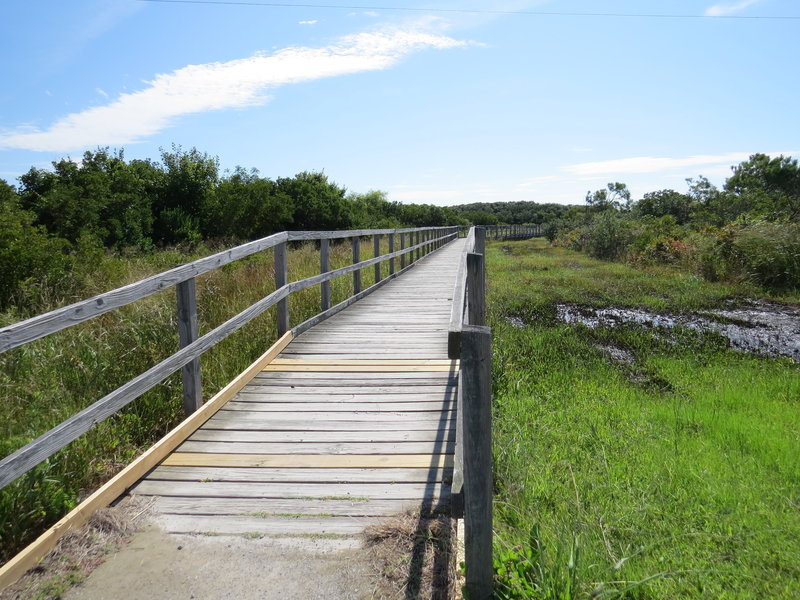 Start of Dune Trail