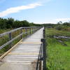 Start of Dune Trail