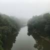 View from bridge at Blue Heron Mining Camp