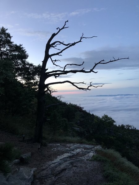 Early morning run up through a blanket of clouds.