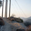 Dawn light on the Strawberry Peak trail