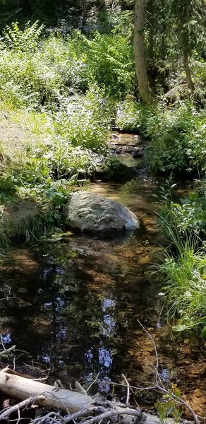 Stream crossing