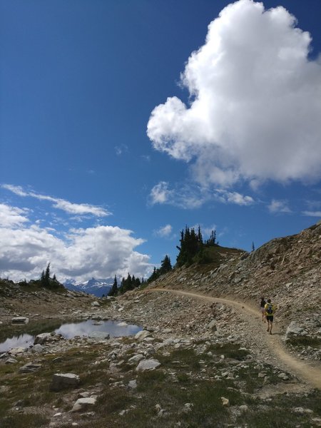 Flowy alpine trails along the top of the loop