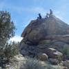 My kids found a nice perch on the Maze Loop Trail.