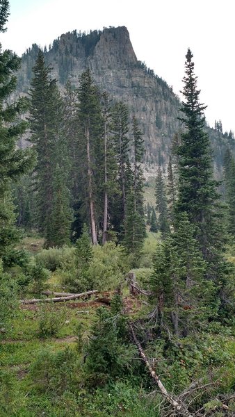 Mt Gog overlooking White Pine Lake