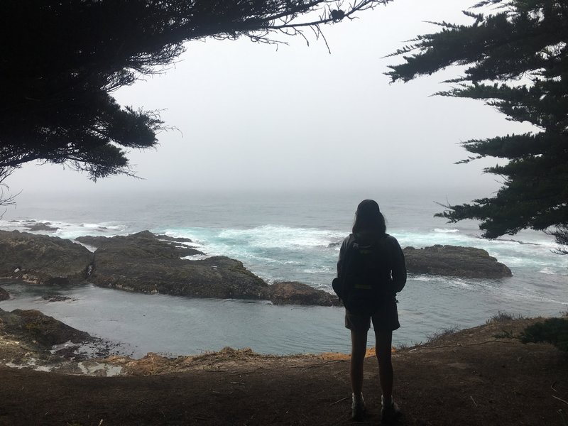 From the Spring Ranch trail south of Mendocino.