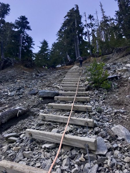 Super fun gully crossing before you get to Glacier Meadows