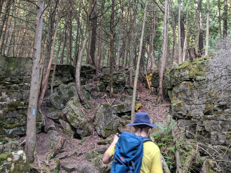 Easy technical trail at Metcalf to gain the top of the ridge