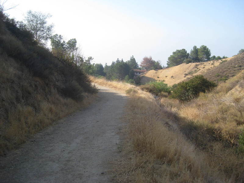 Along the trail