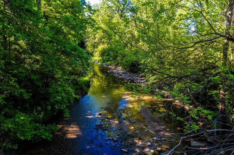 Crossing Burnett's Creek