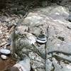 North Fork Moorman's River Trail, family of cairn's