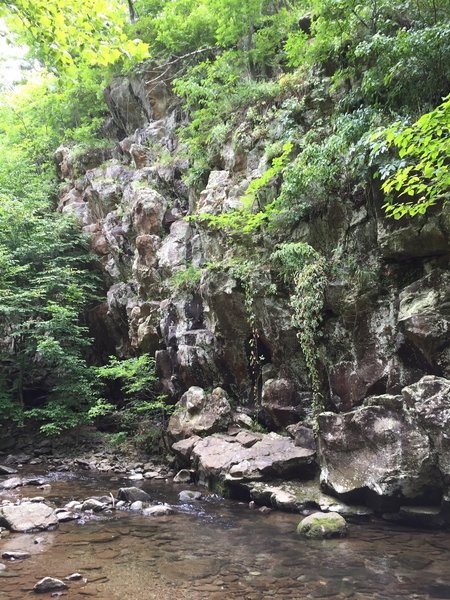 North Fork Moorman's River Trail one of a few walls covered by greenery.