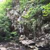 North Fork Moorman's River Trail one of a few walls covered by greenery.