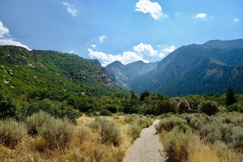 trail to waterfall