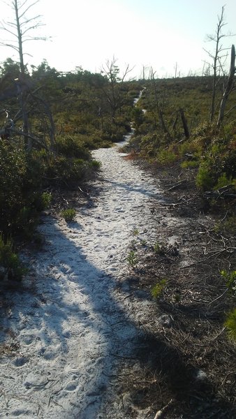 Up and down sand/scrub