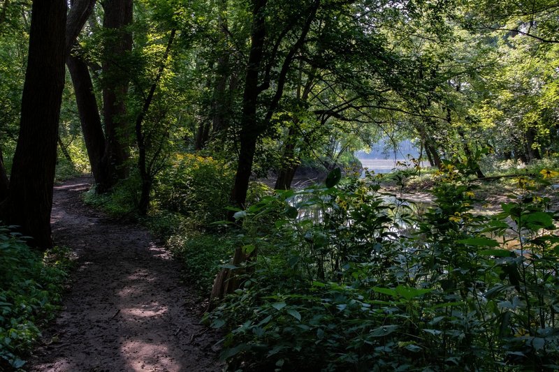 Where Burnett's Creek flows into the Wabash River.