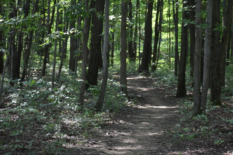 Rocks and Roots hiking trail