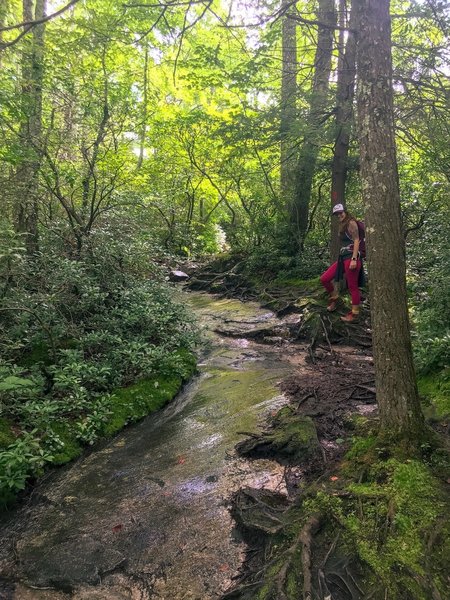 At one point the trail is a small stream you have to hike down. It’s pretty amazing.