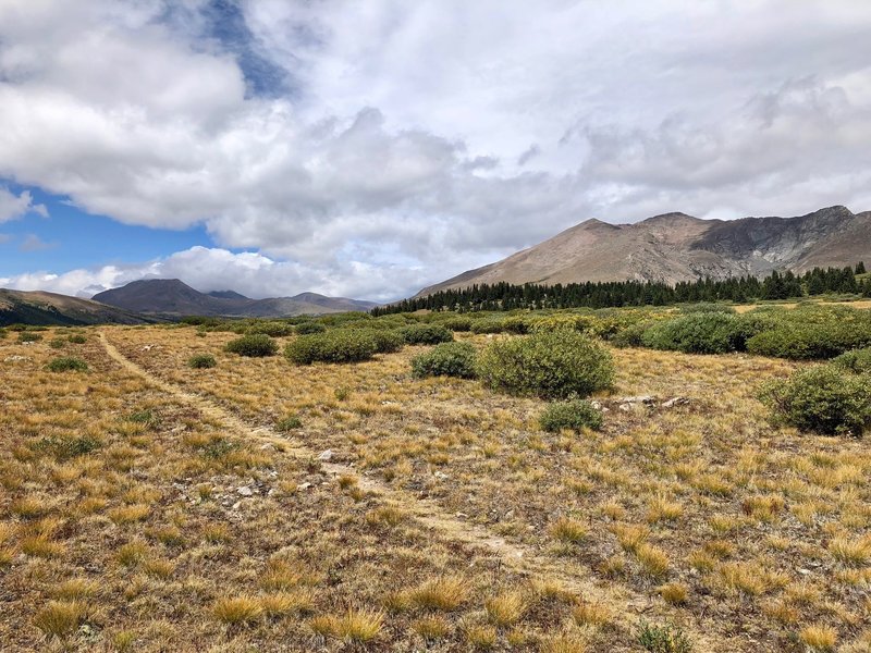 Mount Bierstadt from the southeast, from the saddle at 11,600'