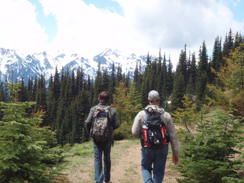 An old photo from near the beginning of the trail at Hurricane Ridge.