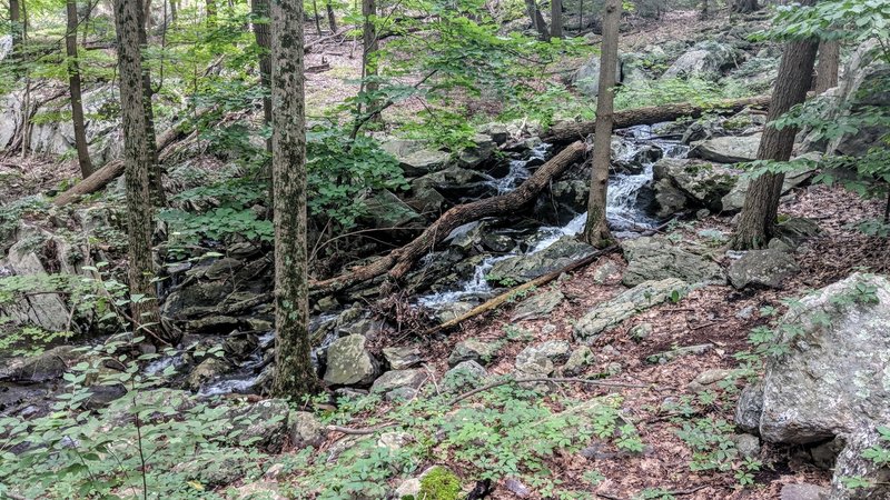 A season cascade just off the Quail Trail in Abram S Hewitt State Forest