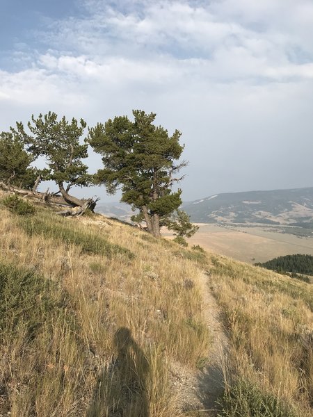 great views across the trail