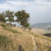 great views across the trail