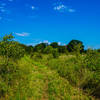 A large field that opens up on the Dry Route provides a good vantage point in the otherwise forested grassland.