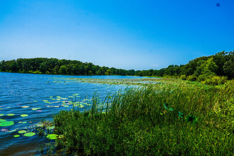 Coffee Mill Lake lies peacefully and vacant within the boundary of the National Grassland.