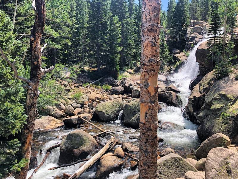 Alberta Falls