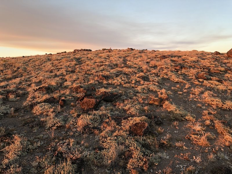 Sunset on Mount Lola