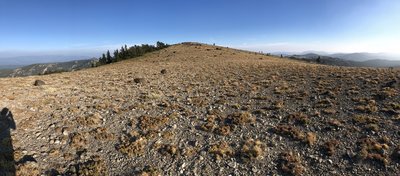 Mount Lola Summit Panorama
