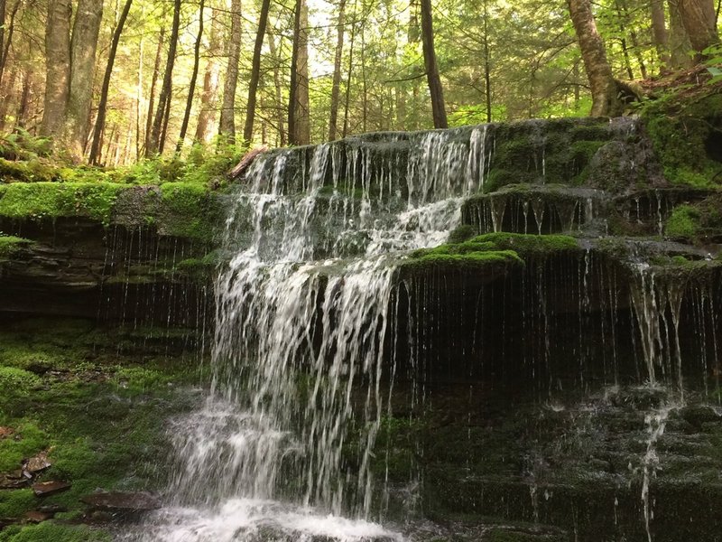 Waterfall along Mud Lake Trail