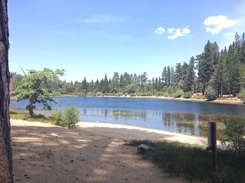 Easy scenic walk around the lake