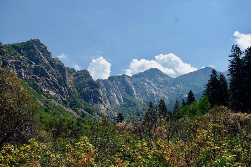 Mountain View in August